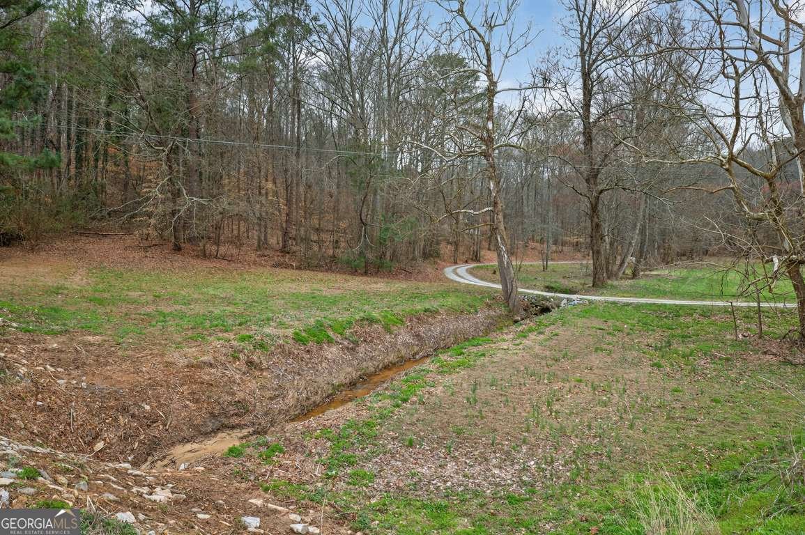 1020 Lower Union Hill Road Canton - Photo 60