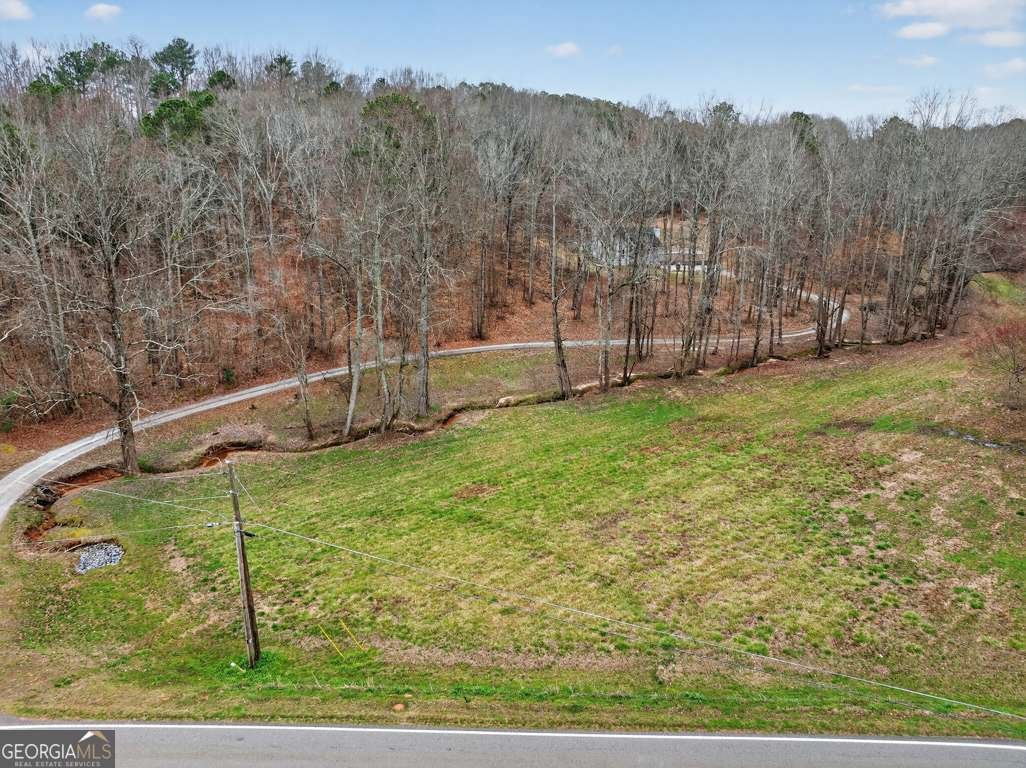 1020 Lower Union Hill Road Canton - Photo 61