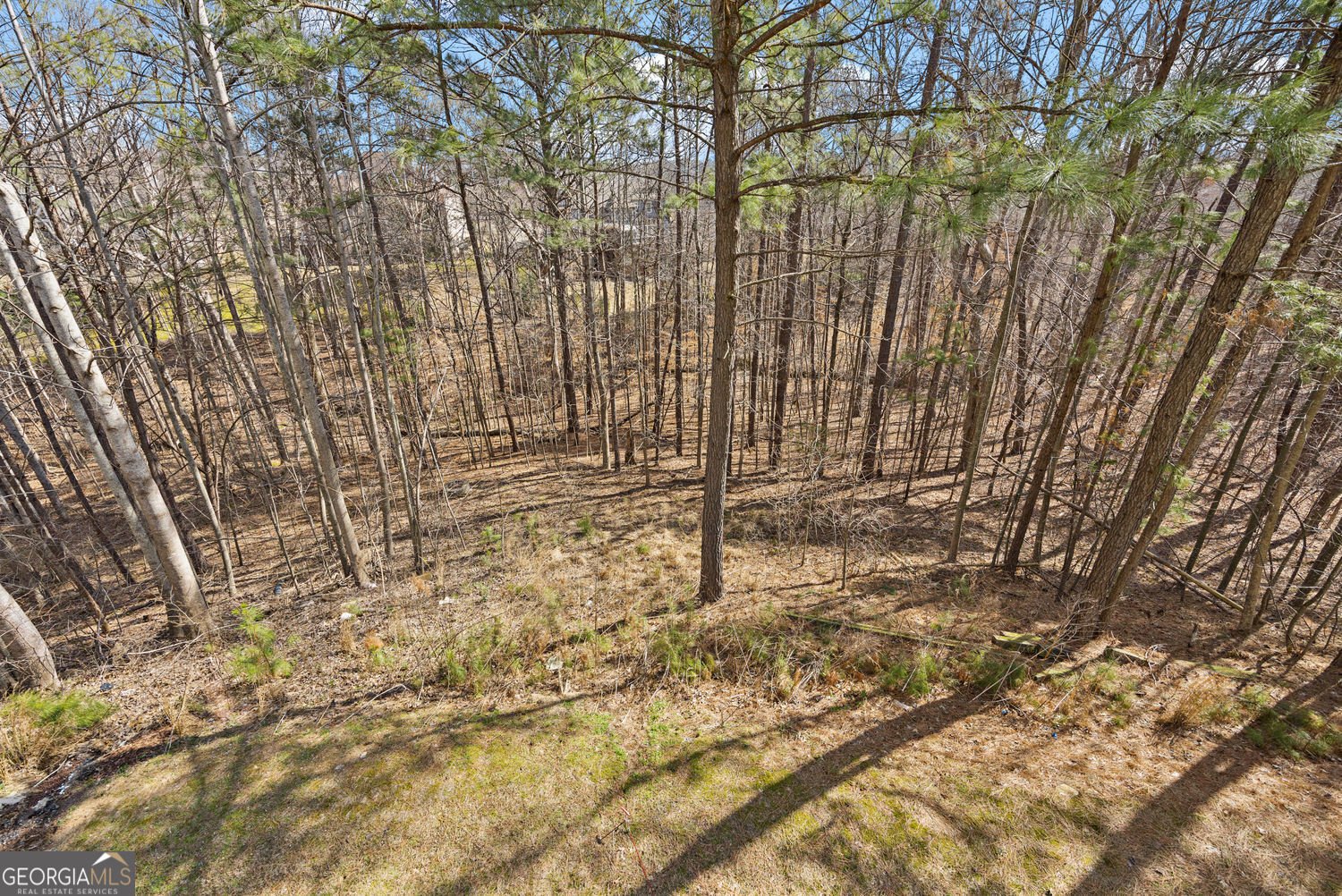 5213 Millwood Canton - Photo 39