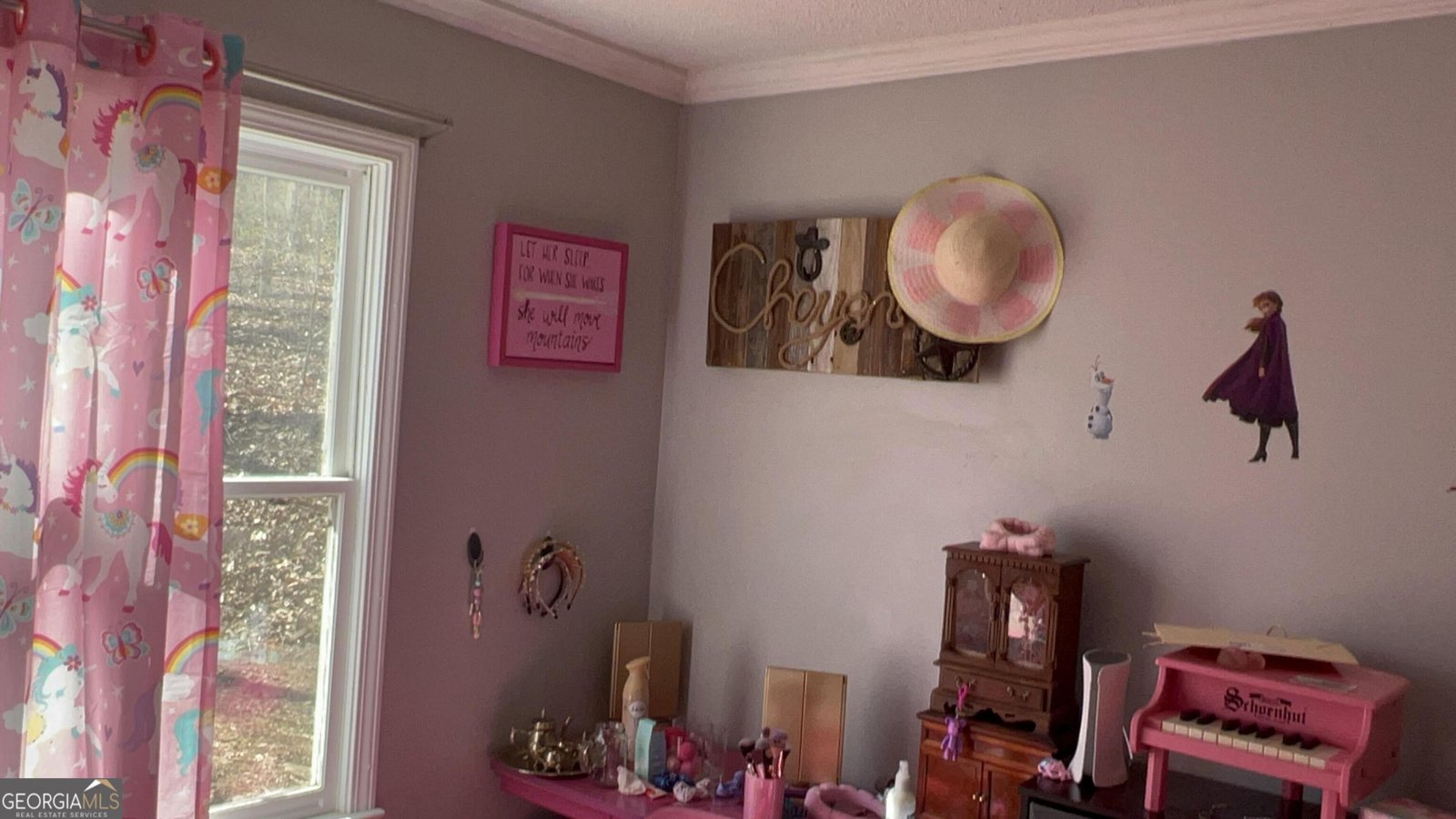 73 Friendship Church Road Buchanan - Photo 23