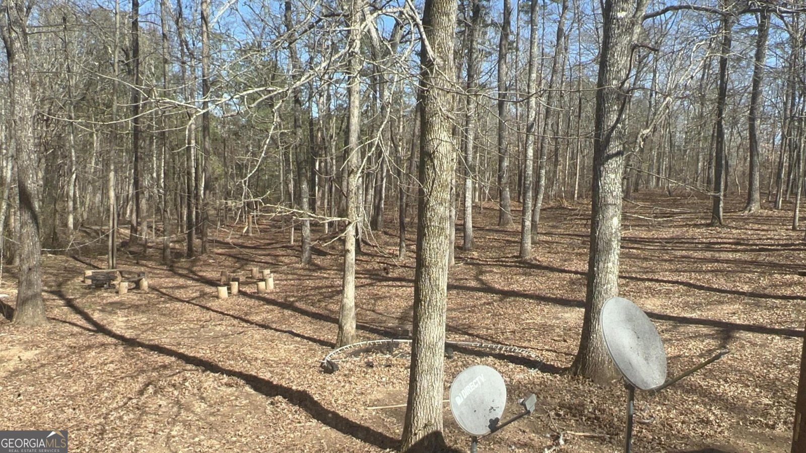 73 Friendship Church Road Buchanan - Photo 25