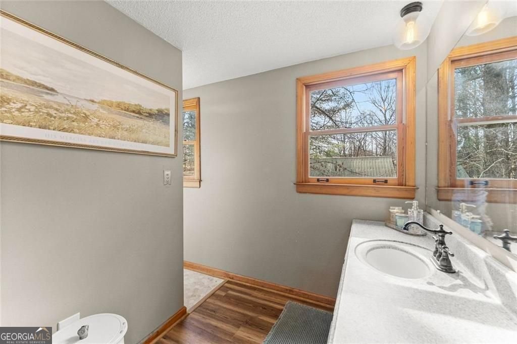 264 Wild Turkey Trail Cleveland - Photo 34