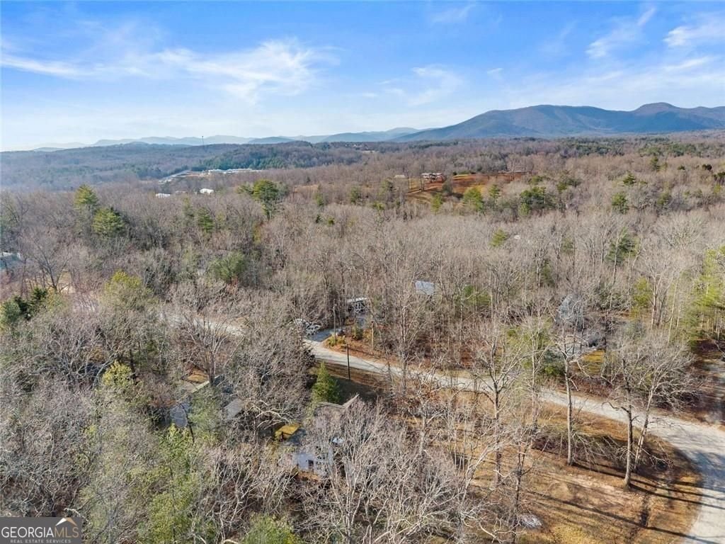 264 Wild Turkey Trail Cleveland - Photo 45