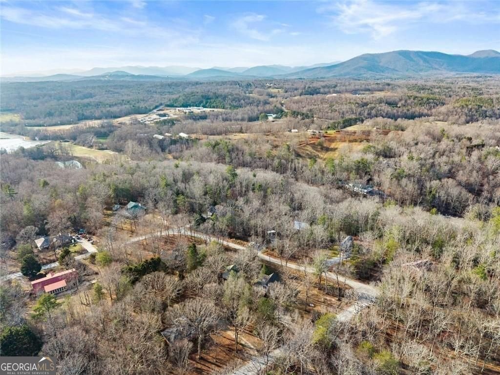 264 Wild Turkey Trail Cleveland - Photo 48