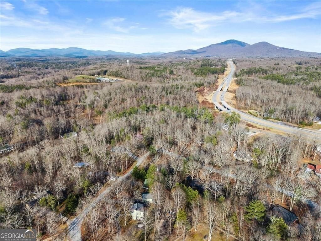 264 Wild Turkey Trail Cleveland - Photo 52