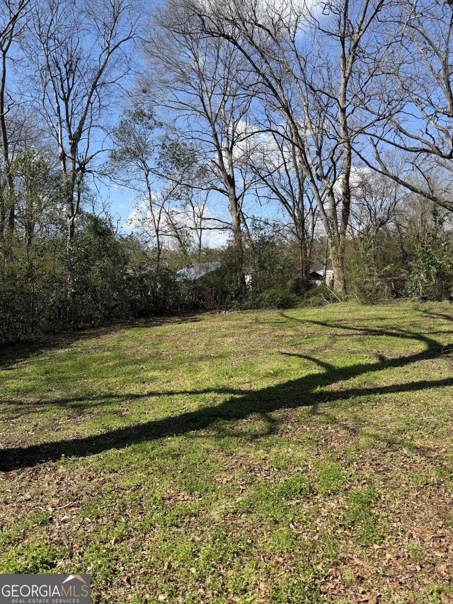 1484 Zorn Street Thomaston - Photo 25