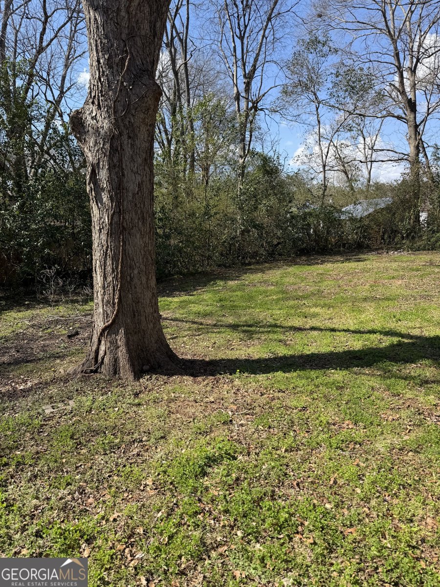 1484 Zorn Street Thomaston - Photo 26