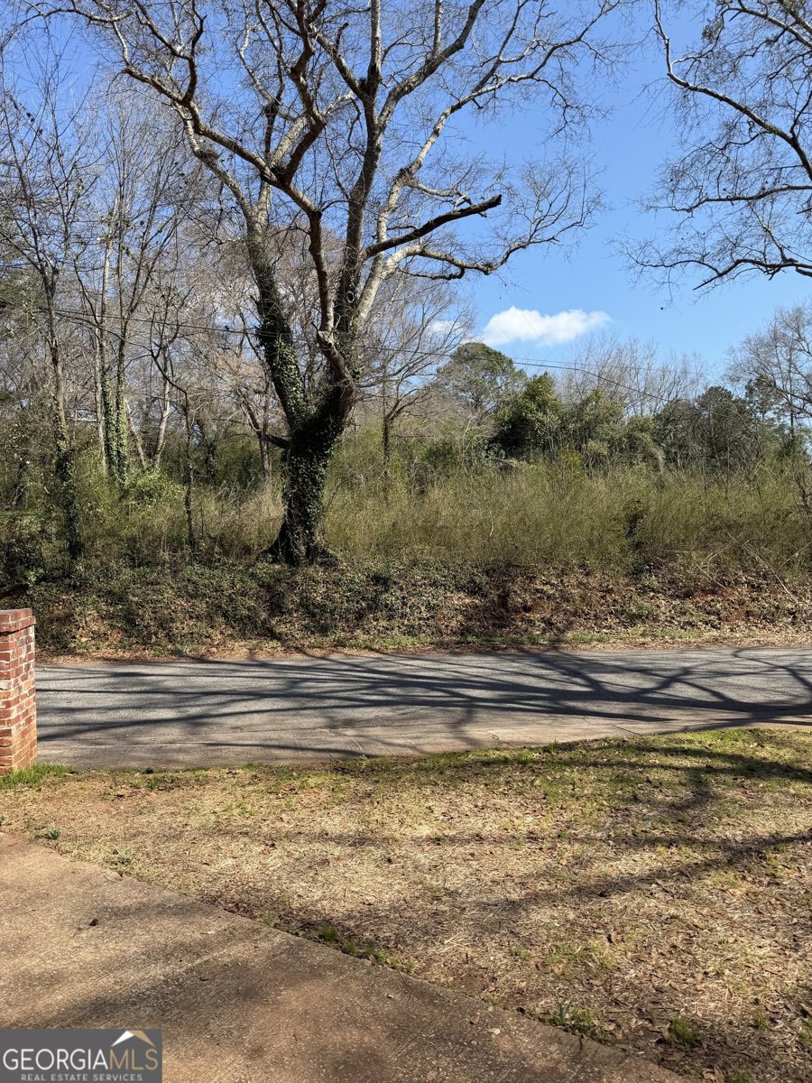 1484 Zorn Street Thomaston - Photo 30