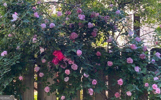 6084 Fairlong Point Acworth - Photo 36