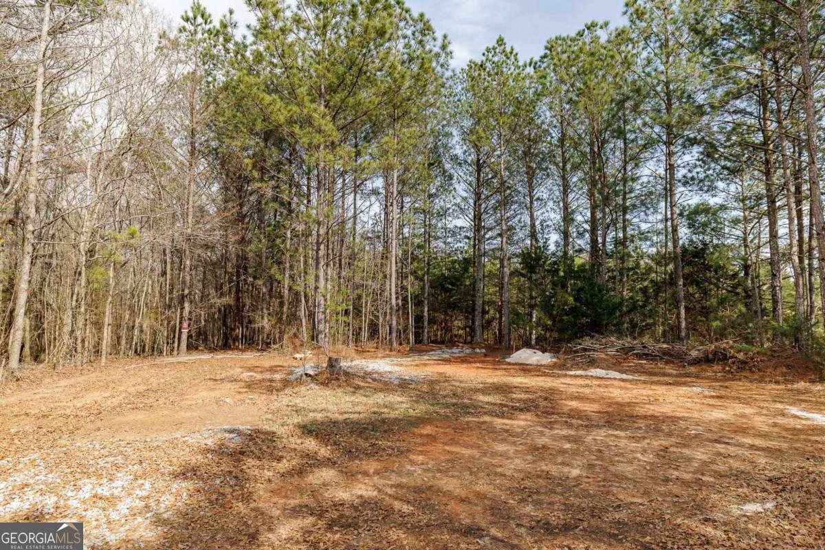 65 Lexington Carlton Road Lexington - Photo 59