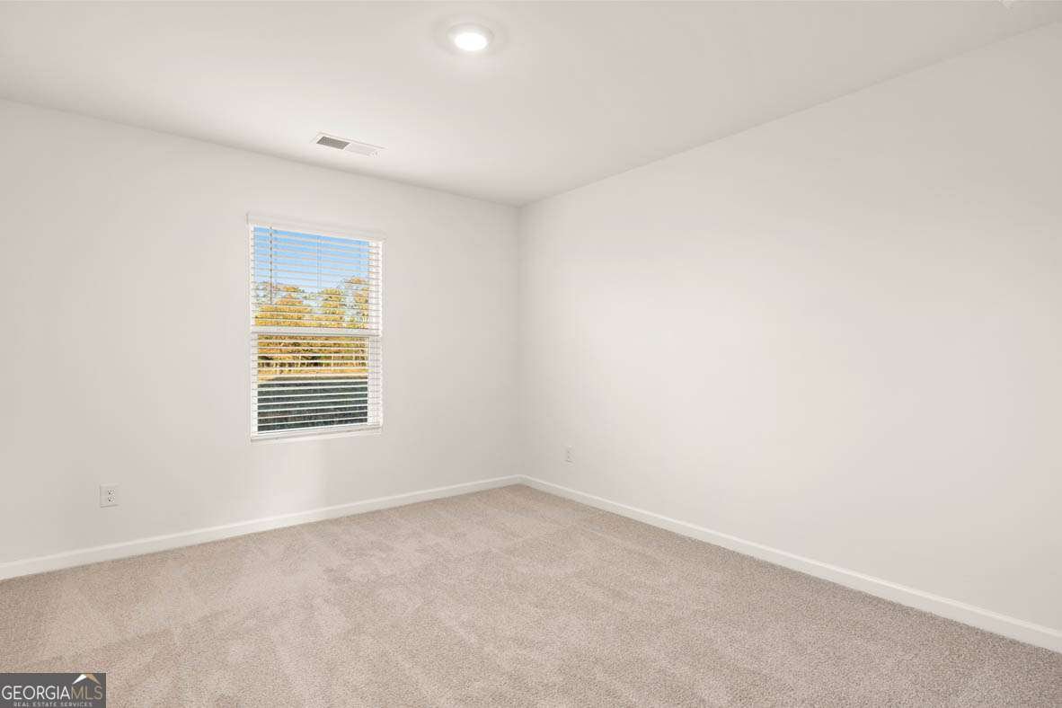 294 Friendship Oak Way Hampton - Photo 37