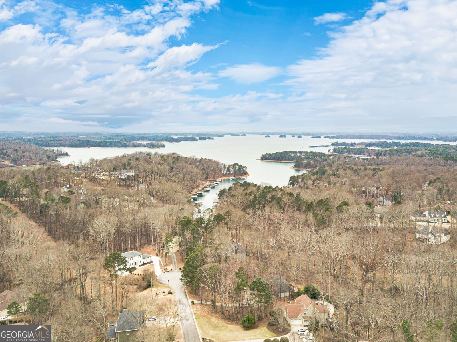 6036 Mill Rose Trace Flowery Branch - Photo 72