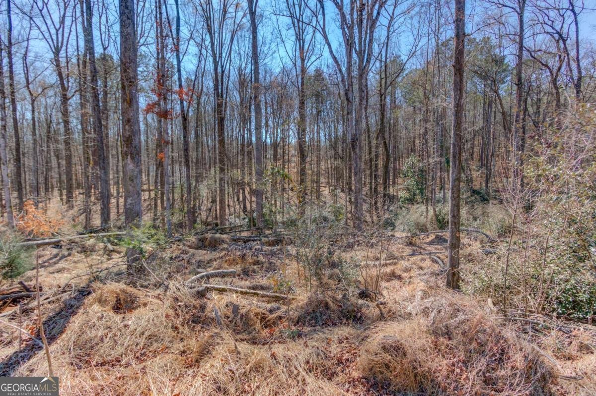 362 Dixie Red Avenue Jefferson - Photo 24