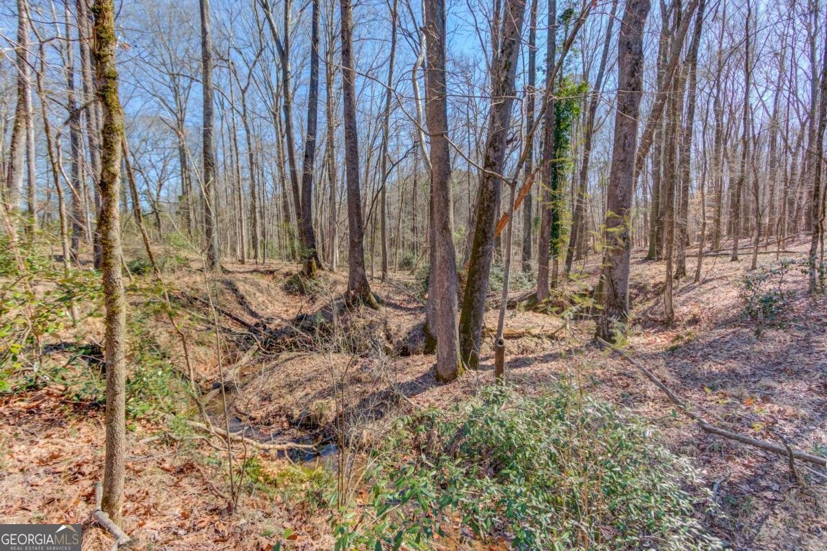 362 Dixie Red Avenue Jefferson - Photo 25