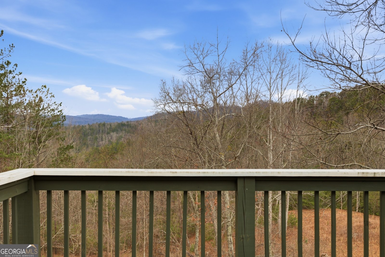 509 Sherwood Lane Clayton - Photo 28