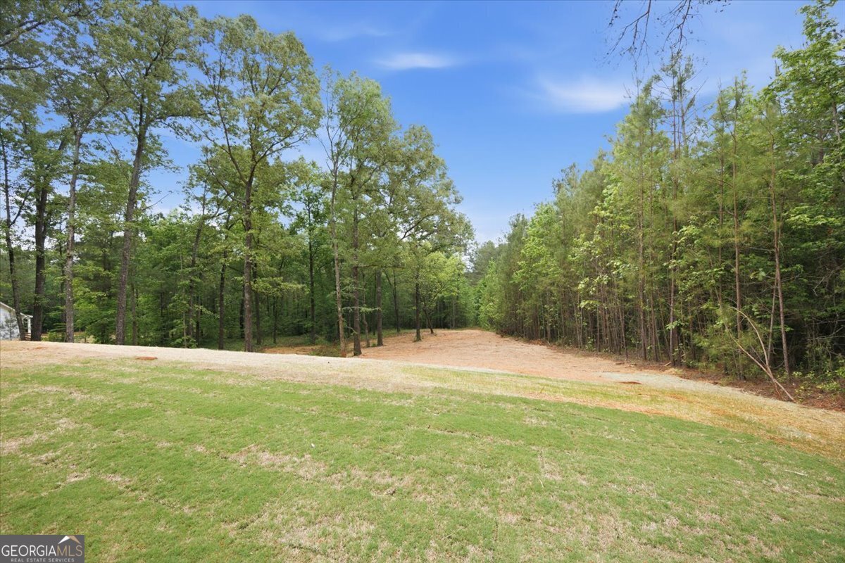 2778 Boxankle Road Forsyth - Photo 20