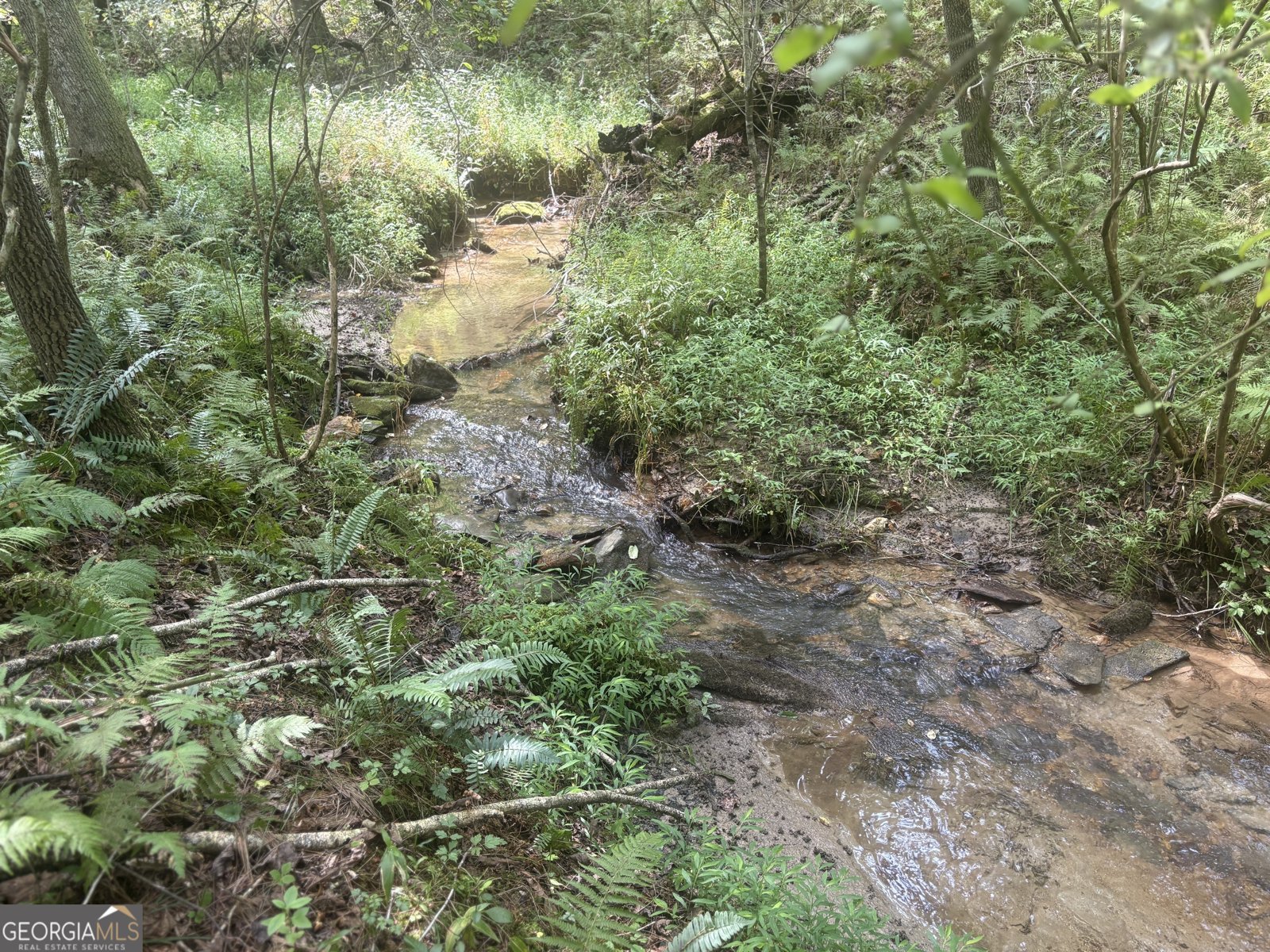 125 Winding Creek Road Blue Ridge - Photo 35