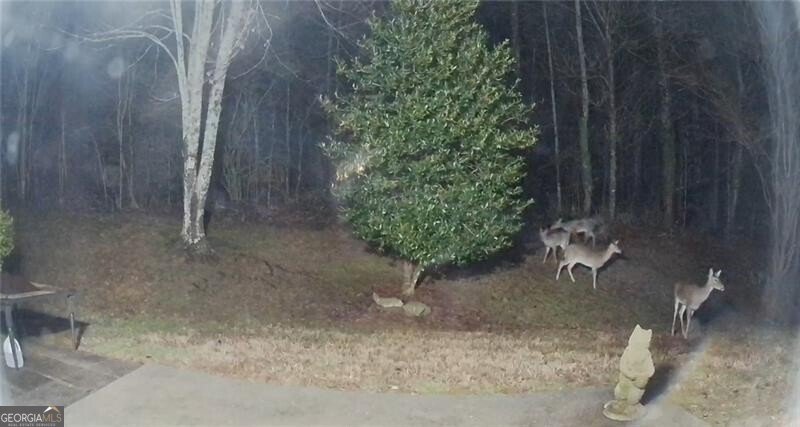 11 Nashport Lane Dawsonville - Photo 44