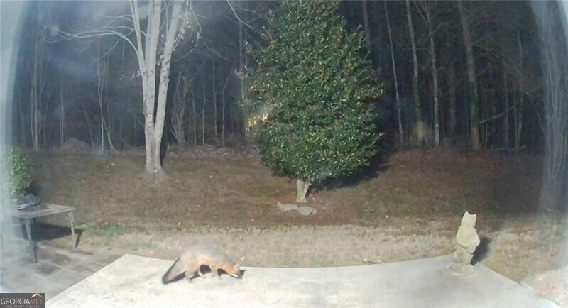 11 Nashport Lane Dawsonville - Photo 45