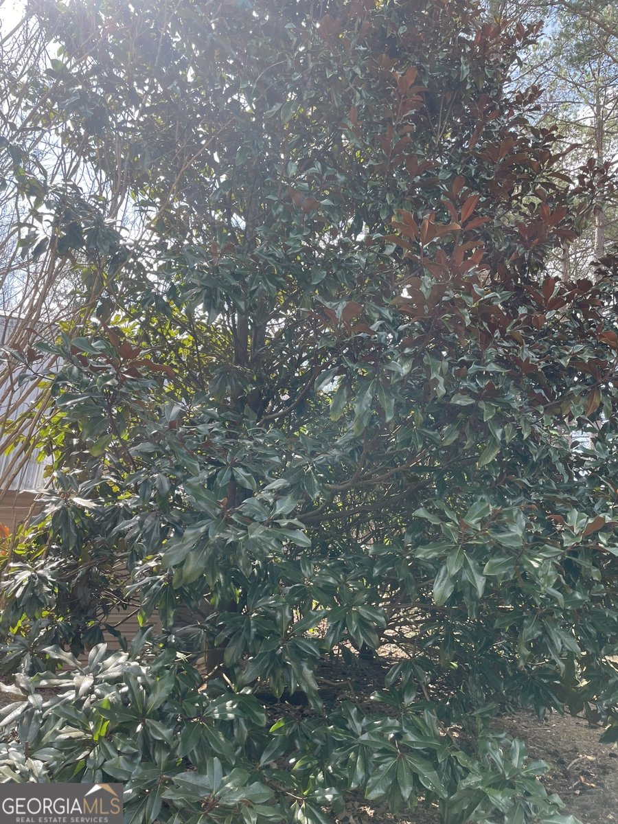 175 Loblolly Lane Blairsville - Photo 10