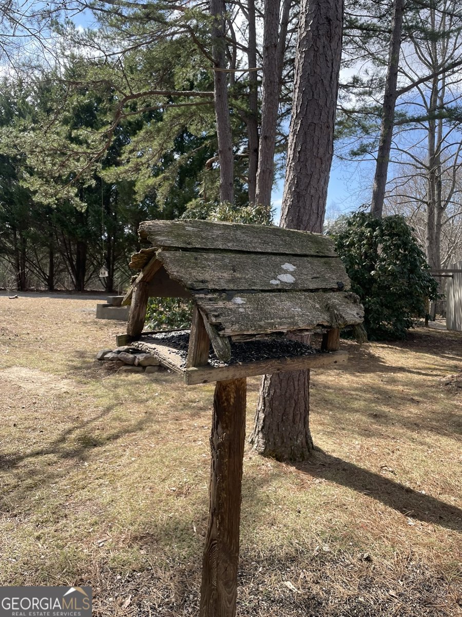 175 Loblolly Lane Blairsville - Photo 11