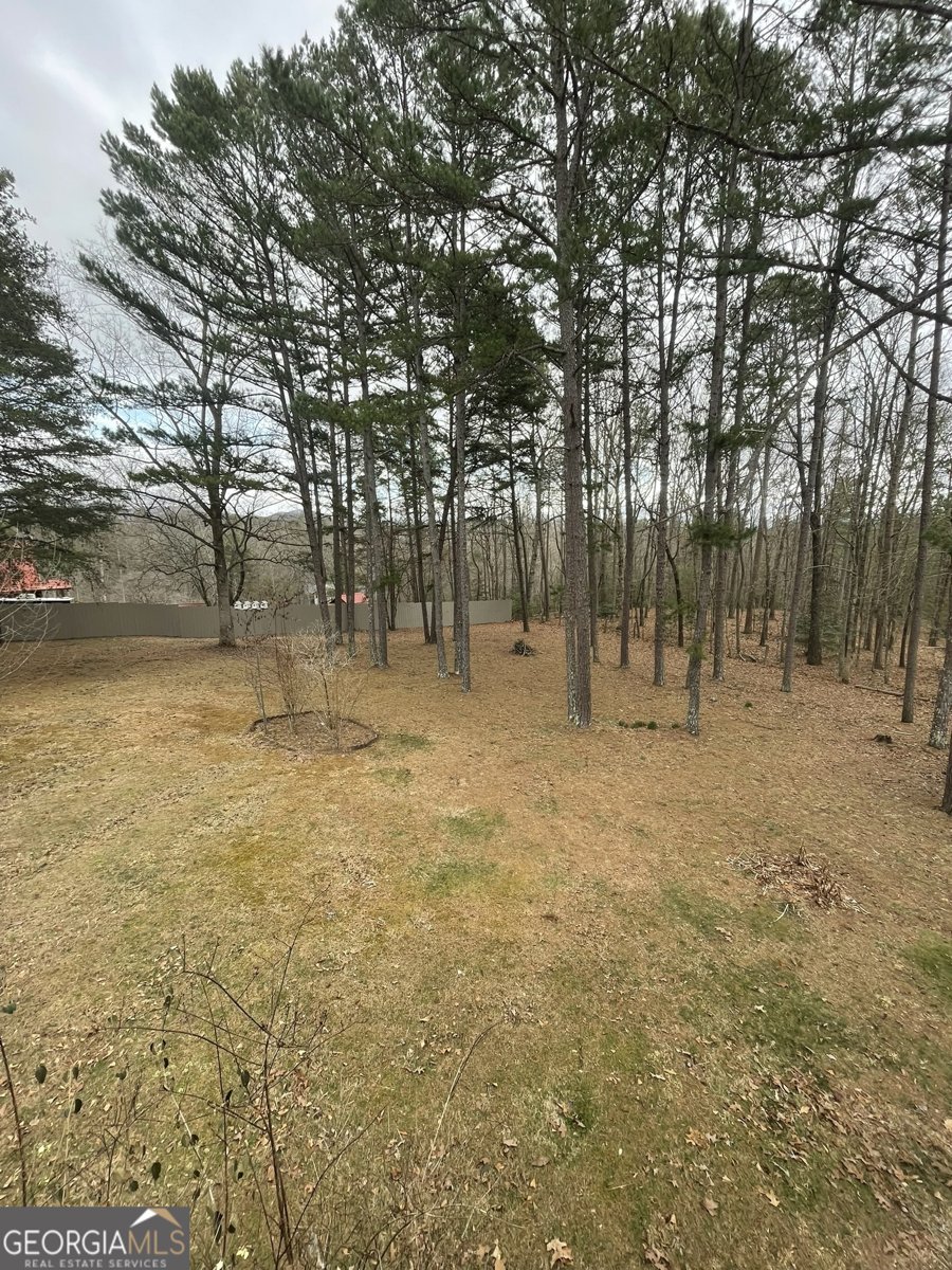 175 Loblolly Lane Blairsville - Photo 33