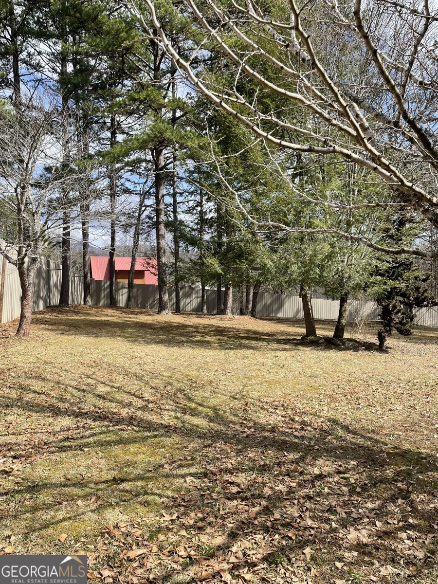 175 Loblolly Lane Blairsville - Photo 52