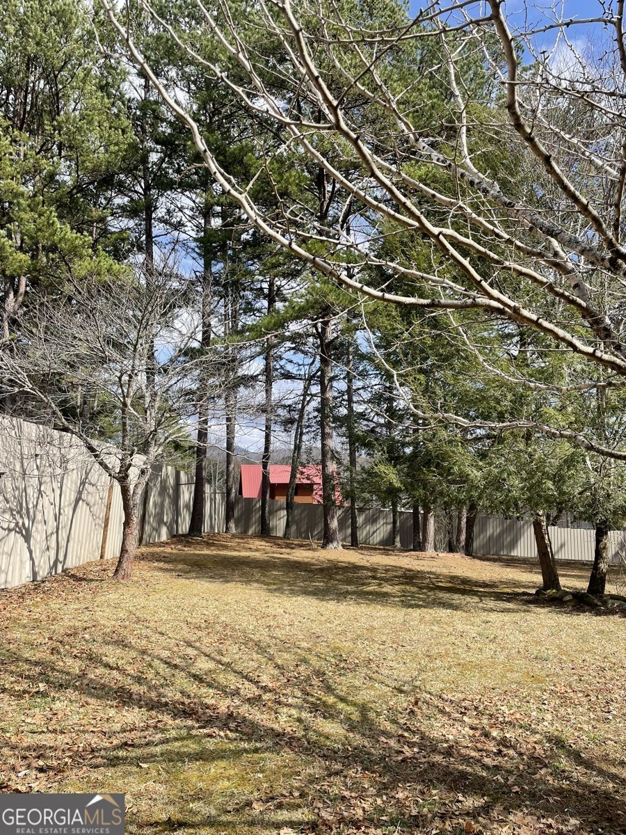 175 Loblolly Lane Blairsville - Photo 54