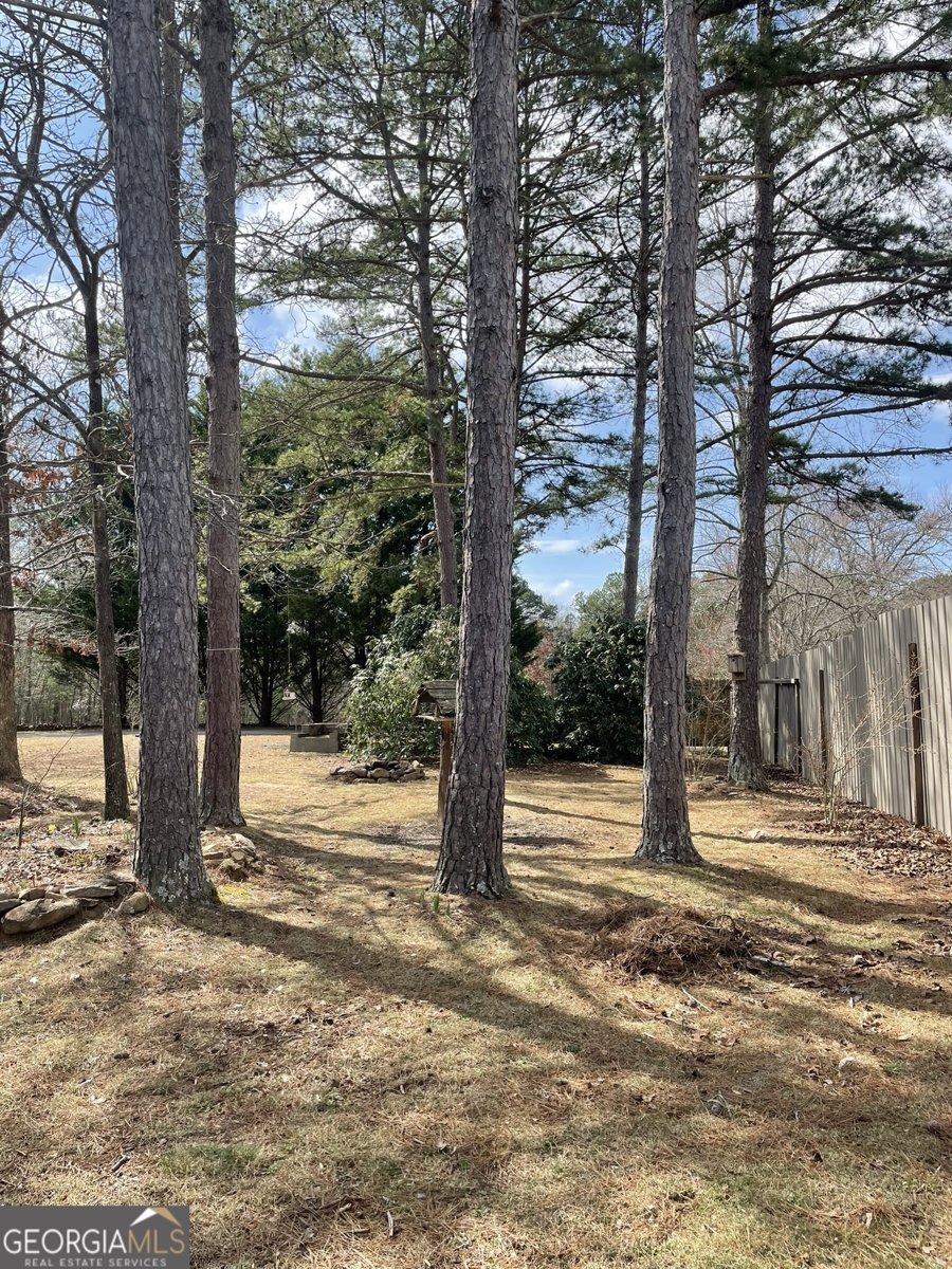 175 Loblolly Lane Blairsville - Photo 55