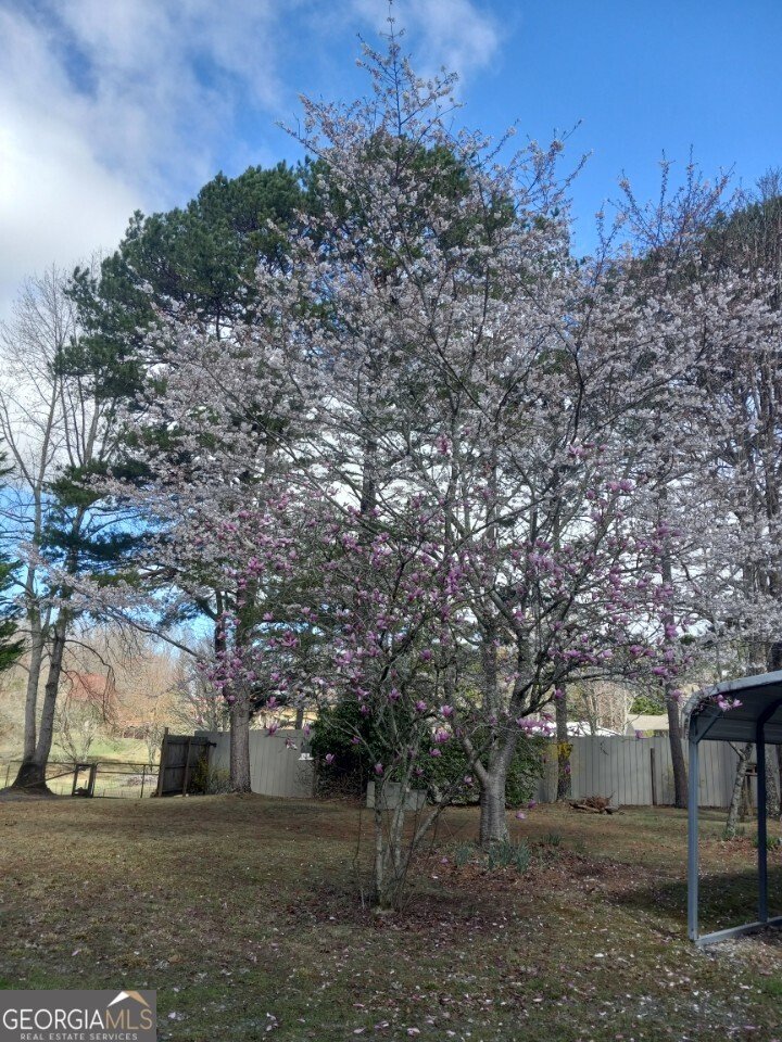 175 Loblolly Lane Blairsville - Photo 60