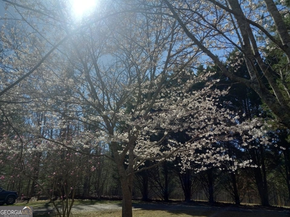 175 Loblolly Lane Blairsville - Photo 61