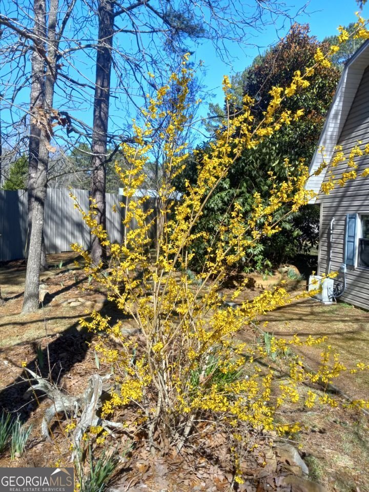 175 Loblolly Lane Blairsville - Photo 62