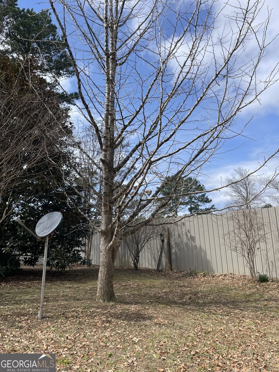 175 Loblolly Lane Blairsville - Photo 9