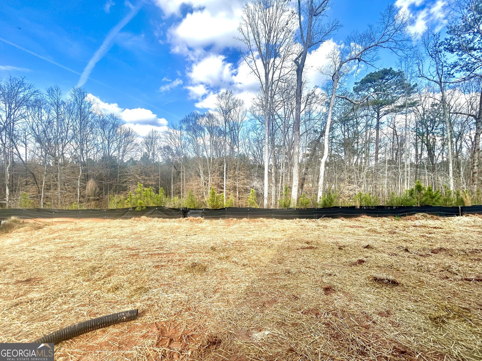 5360 Heron Bay Boulevard Locust Grove - Photo 11