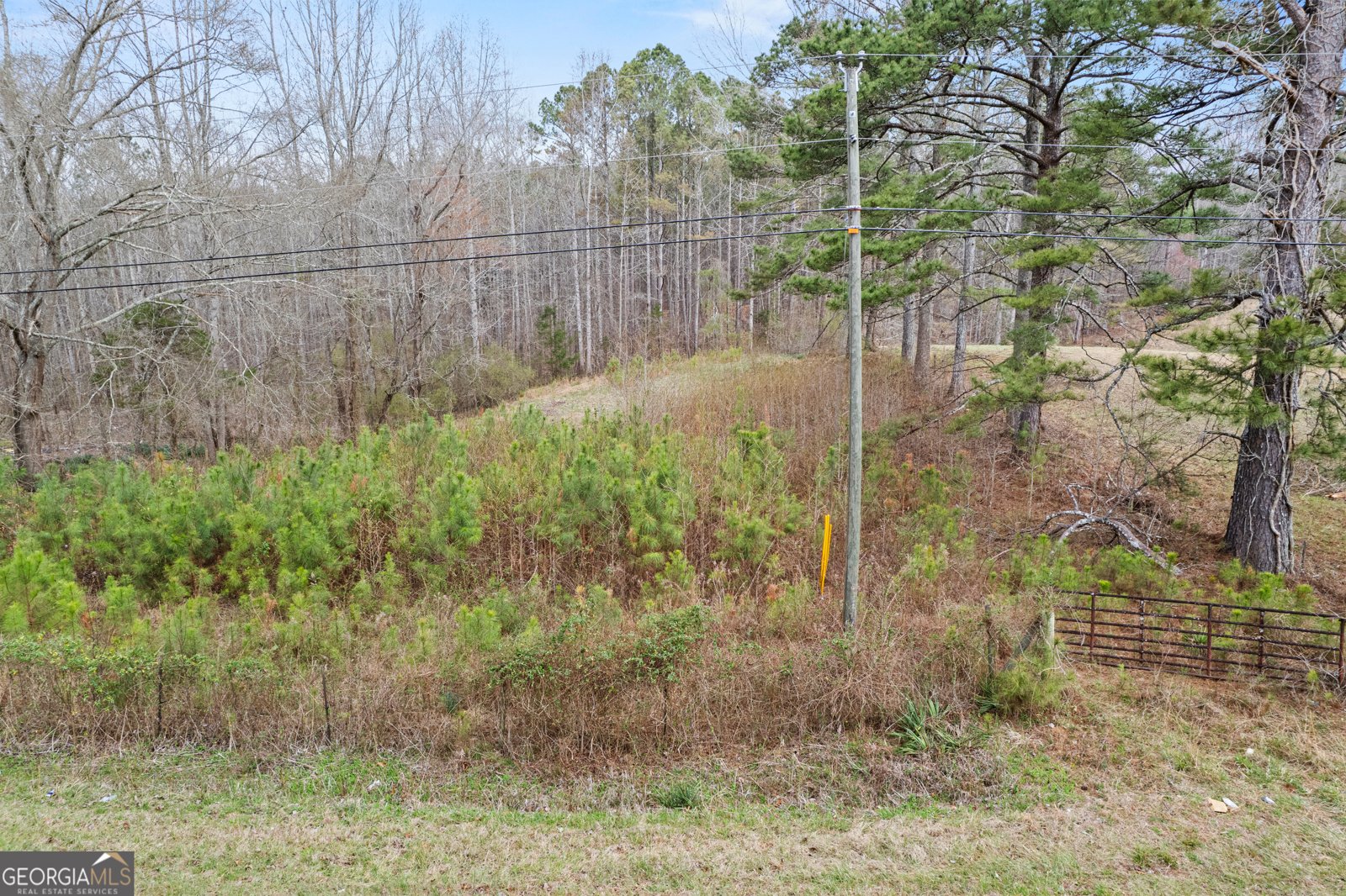 5534 Steadman Road Tallapoosa - Photo 34