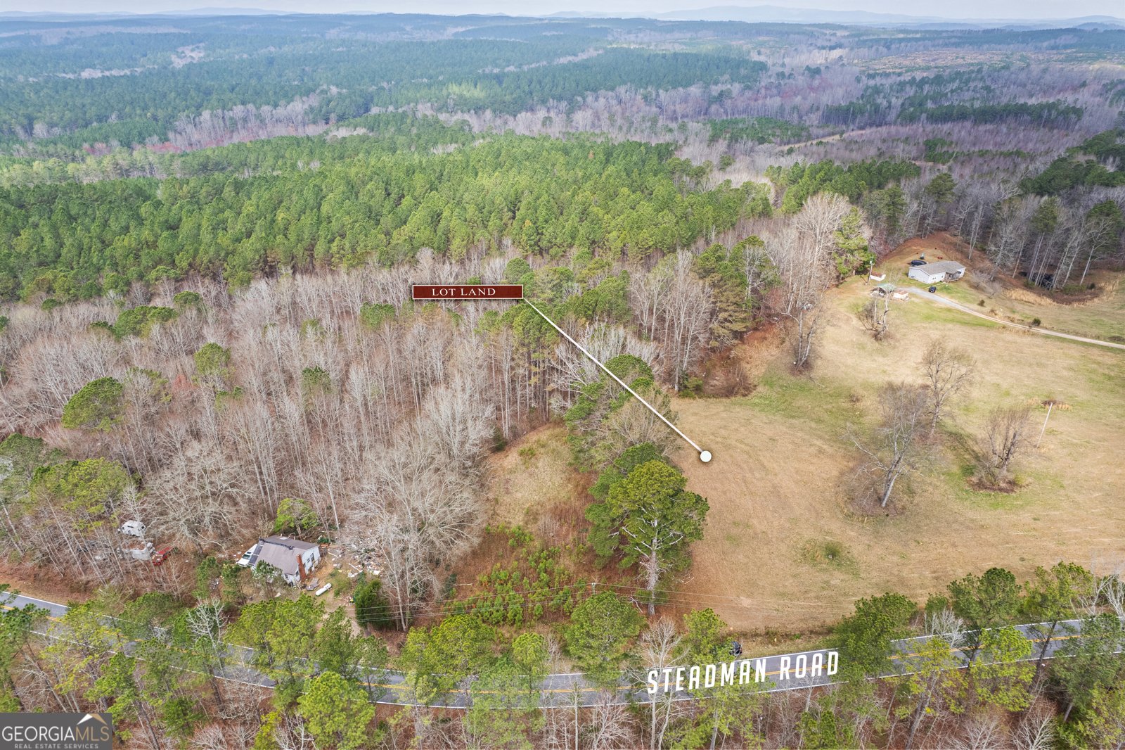 5534 Steadman Road Tallapoosa - Photo 35