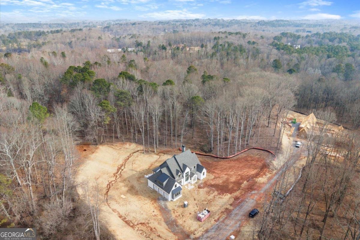 422 Old Orange Mill Road Canton - Photo 52