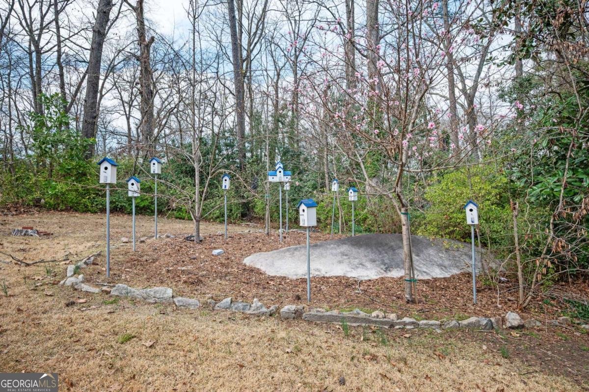 3207 Laura Lane Lithia Springs - Photo 33