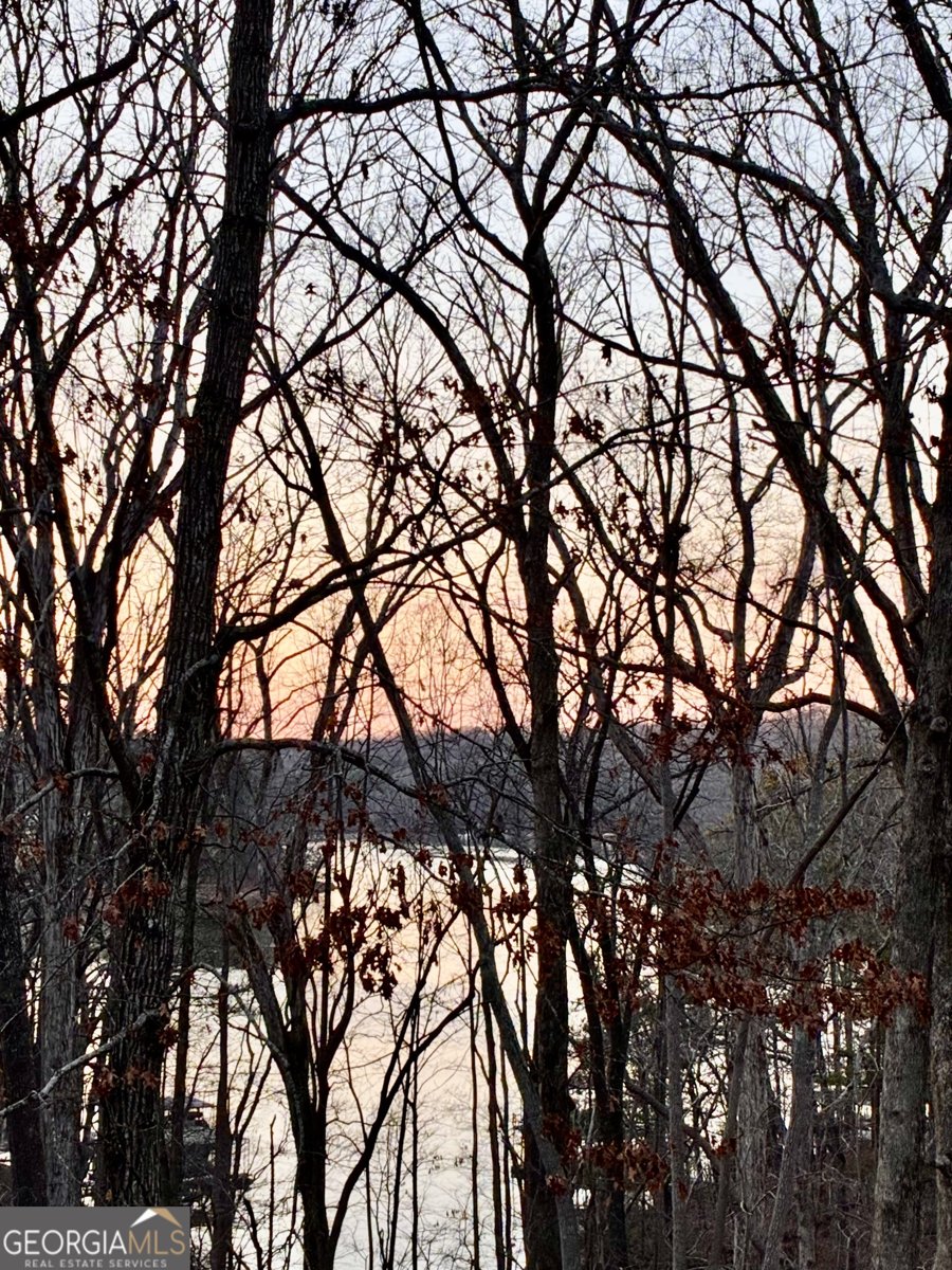 4536 Sequoia Drive Oakwood - Photo 37