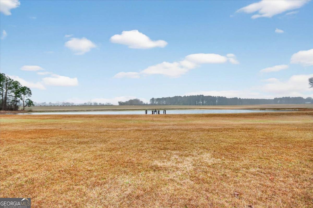 3900 Middle Ground Road Statesboro - Photo 47