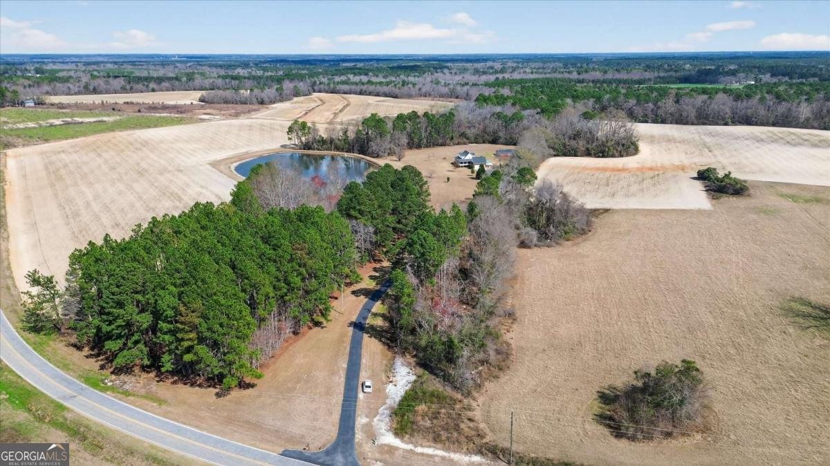 3900 Middle Ground Road Statesboro - Photo 53