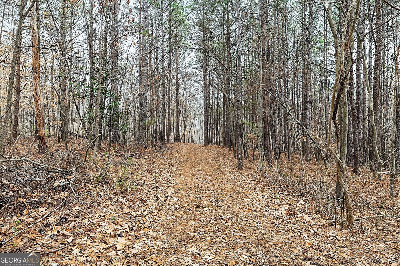 3740 Duckcove Way Cumming - Photo 75