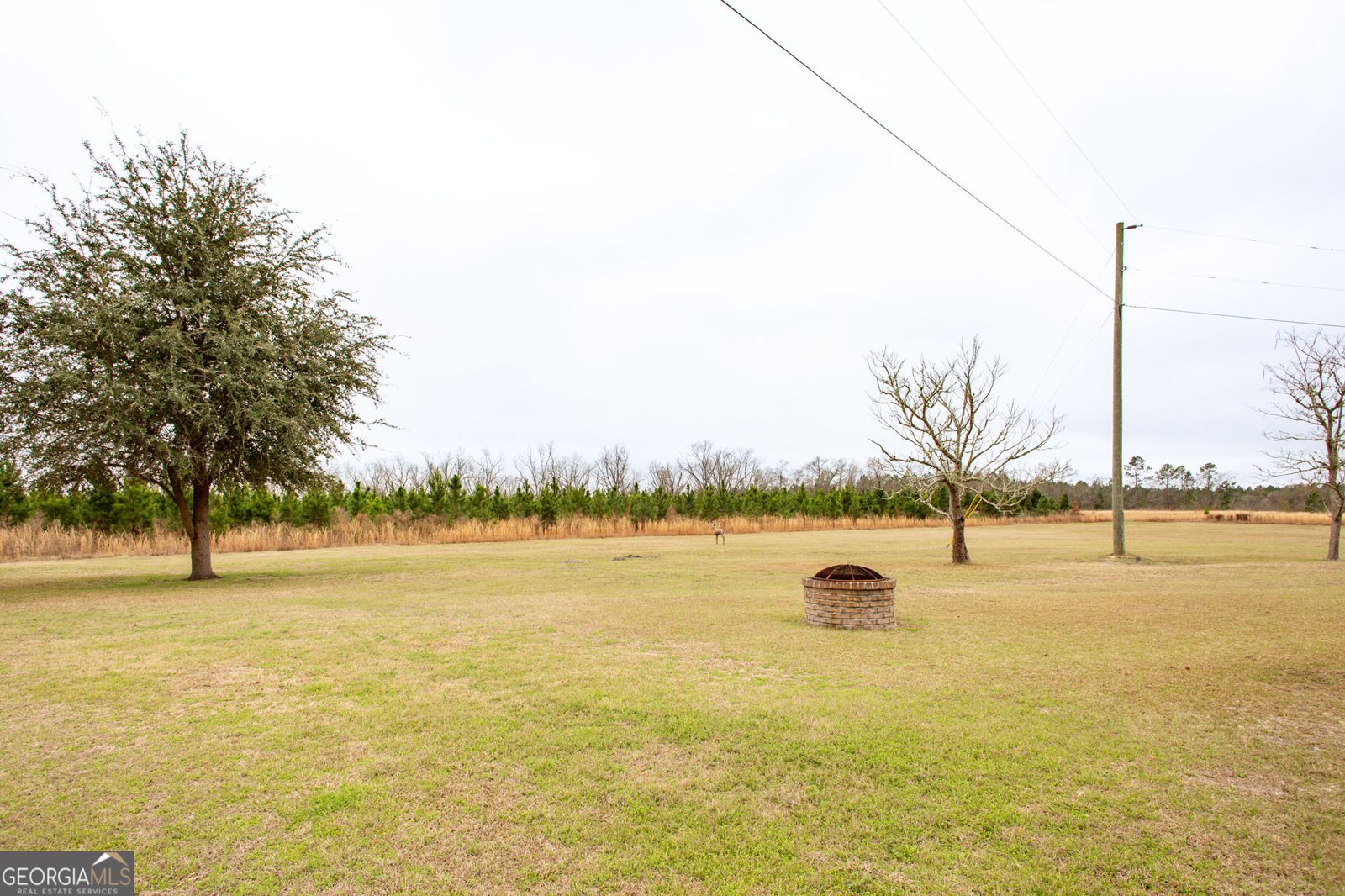 4697 Effie Sweat Lane Waycross - Photo 32