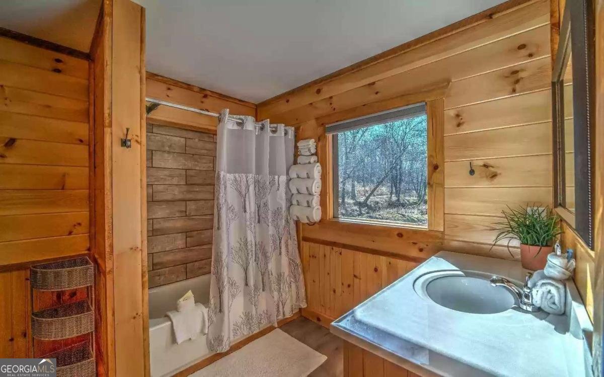 141 Mountain Rivers Road Mineral Bluff - Photo 18