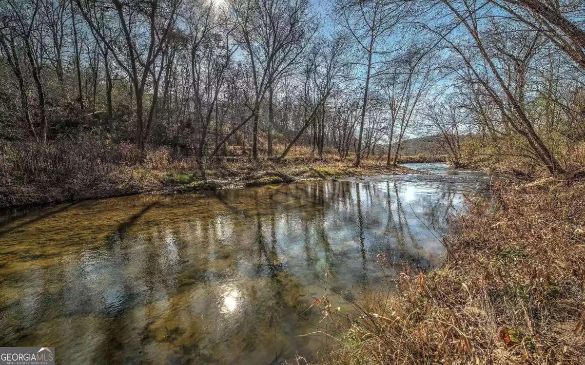 141 Mountain Rivers Road Mineral Bluff - Photo 6