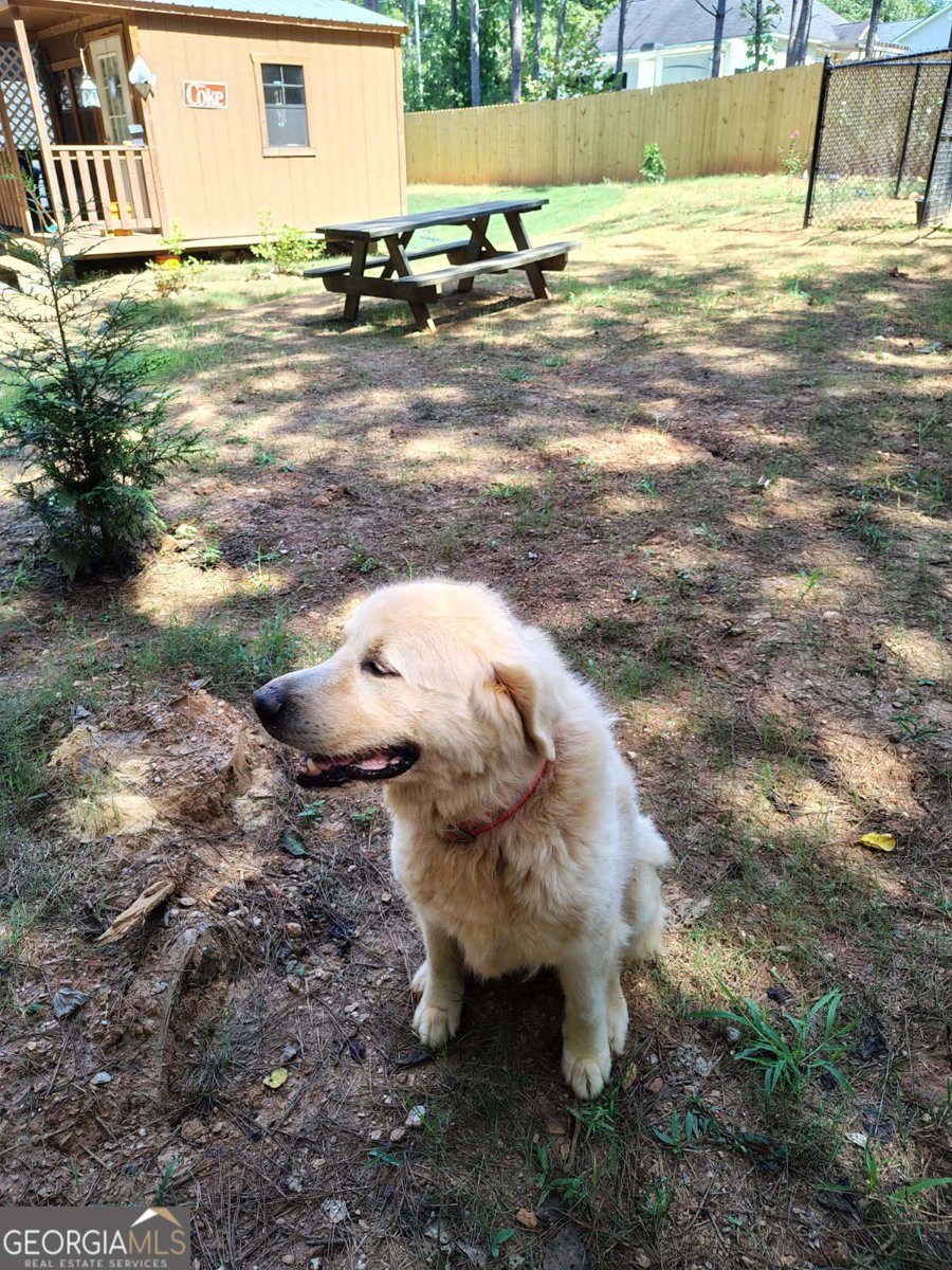 65 Magnolia Street Buchanan - Photo 19