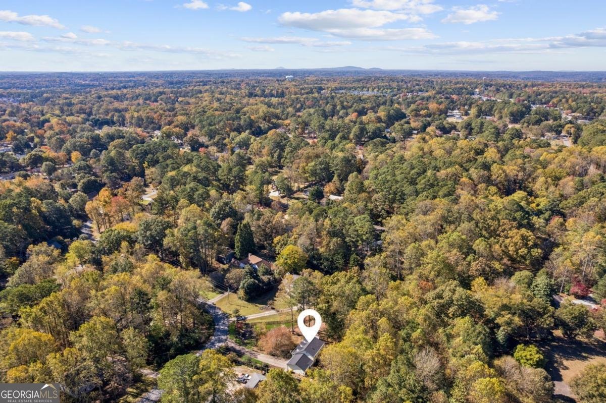 225 White Pines Drive Alpharetta - Photo 49