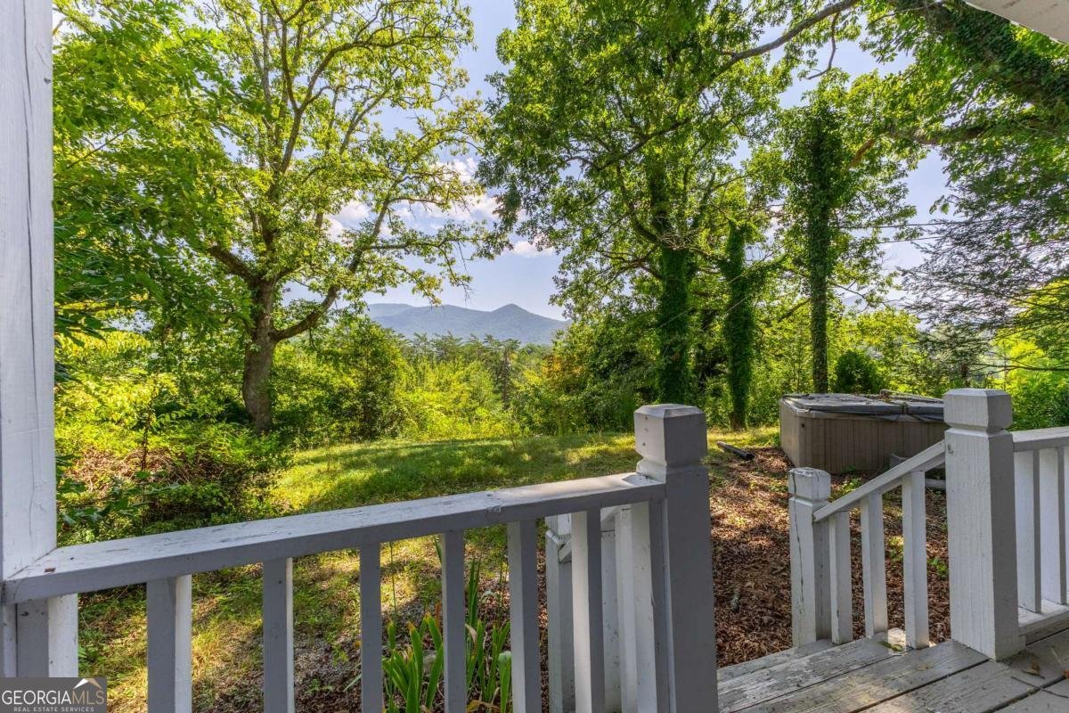 205 Carolina Street Dillard - Photo 68