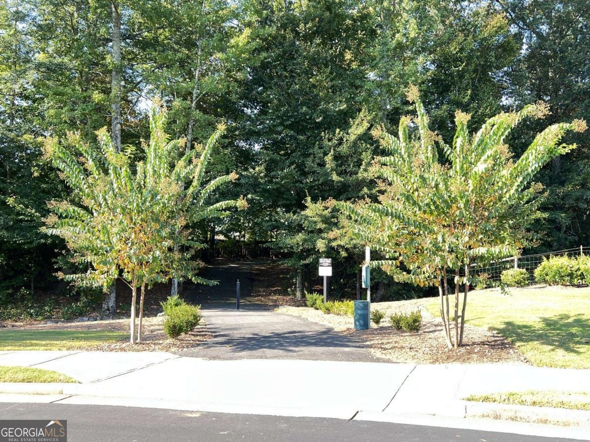 11217 Brookhavenclub Drive Johns Creek - Photo 59