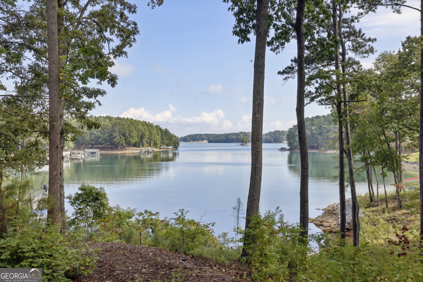 6525 Garett Raod Buford - Photo 74